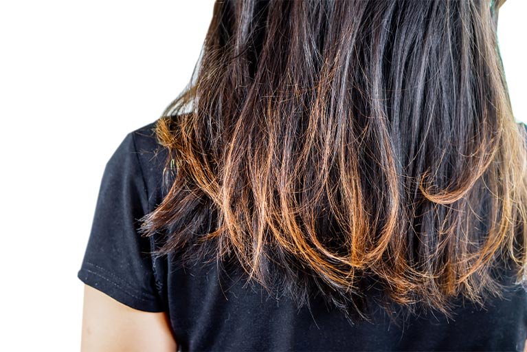 shampo untuk rambut kering